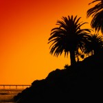 Los Angeles Detective Agency